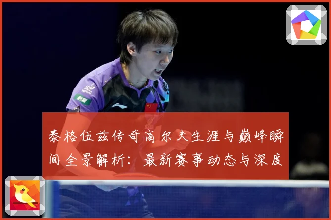 泰格伍兹传奇高尔夫生涯与巅峰瞬间全景解析：最新赛事动态与深度分析